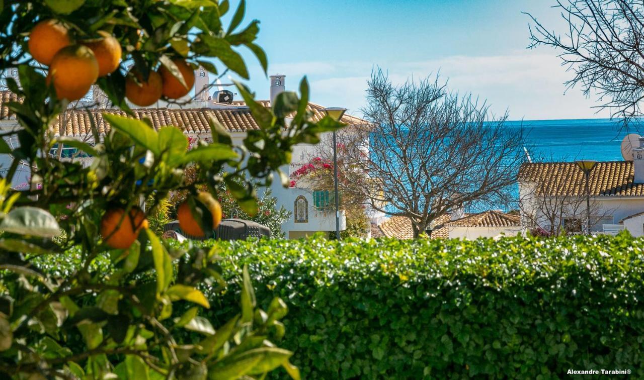 C12 - Sunshine Apartment In Luz Екстериор снимка